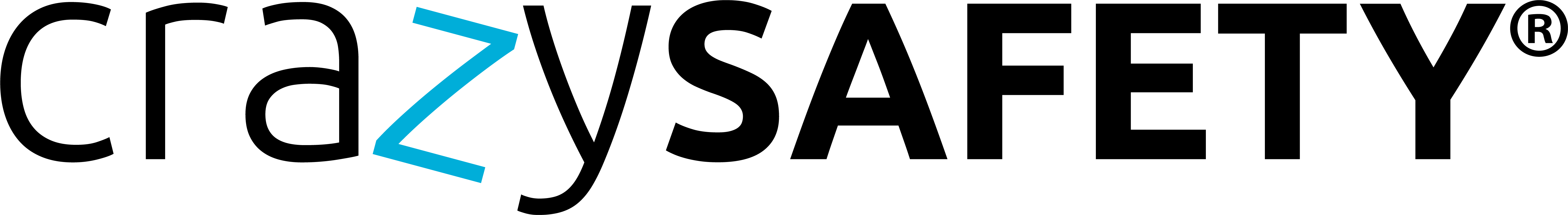 crazy safety logo