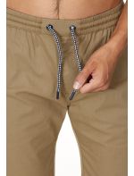 Cruz Σορτς Gilchrest M Shorts