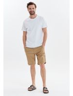Cruz Σορτς Reagan M Shorts