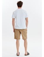 Cruz Σορτς Reagan M Shorts
