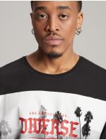 Diverse T-shirt CITYLANE 2