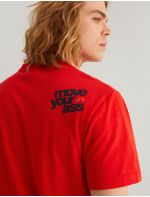 Diverse T-shirt CLTN STR 323