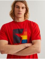 Diverse T-shirt CLTN STR 323