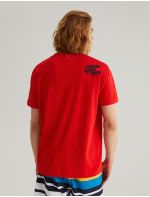 Diverse T-shirt CLTN STR 323