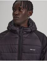 Diverse Jacket QUALO DEXT