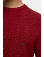 RedGreen Πλεκτή Μπλούζα Knit Jacob
