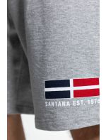 Snta Βερμούδα με Τύπωμα Flag Santana est.1976