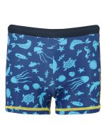 Zigzag Μαγιό Buddy Swim Trunks
