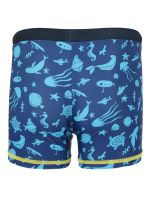 Zigzag Μαγιό Buddy Swim Trunks